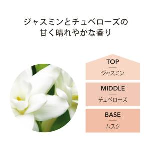 アシュレイ&バーウッド リードディフューザー ...の詳細画像4