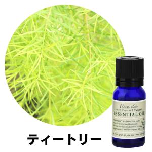 Flavor Life（フレーバーライフ） エッセンシャルオイルフレーバー