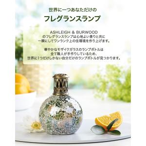 アシュレイ&バーウッド 替芯 Ashleigh...の詳細画像2