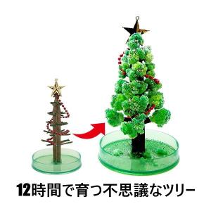 クリスマスツリー卓上 マジックツリー マジッククリスマスツリー 12時間で育つ不思議なツリー