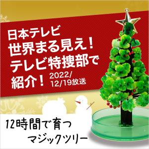 クリスマスツリー 卓上 マジック クリスマスツ...の詳細画像2