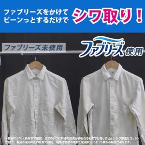 ファブリーズ W除菌+消臭スプレー 衣類・布製...の詳細画像3