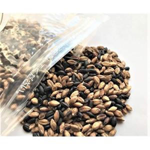 もち麦 黒米 W ブレンド 熊本県産 500g...の詳細画像1