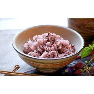もち麦 黒米 W ブレンド 熊本県産 500g...の詳細画像3