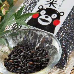 もち麦 黒米 W ブレンド 熊本県産 500g...の詳細画像5