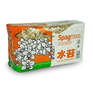 水苔 水ゴケ ミズゴケ 500g (約40L分) ニュージーランド産 植え込み材