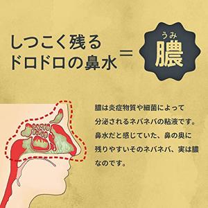 チクナイン 鼻洗浄 鼻うがい 専用 水で薄める...の詳細画像2