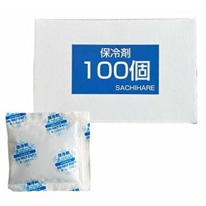 保冷剤 業務用 まとめ買い 100個セット セット販売 保冷 食材 生鮮食品 ソフト 小さい バーベキュー キャンプ クーラーバッグ クーラーボ｜otogizakka