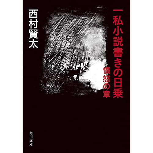 一私小説書きの日乗 憤怒の章 (角川文庫)