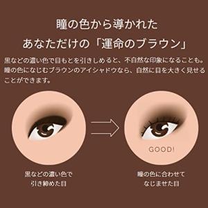 マキアージュ ドラマティックスタイリングアイズ...の詳細画像4