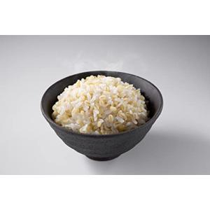石橋工業 九州産もち麦スティック(50g×12...の詳細画像1