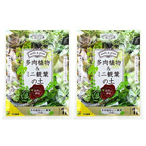 花ごころ 多肉植物&amp;ミニ観葉の土 1L×2袋