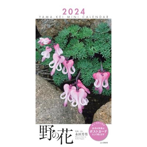 カレンダー2024 ミニカレンダー 野の花（月めくり/卓上・リング） (ヤマケイカレンダー2024)