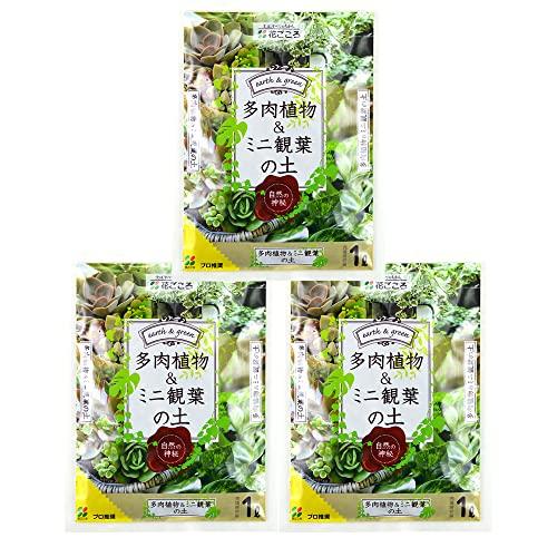 花ごころ 多肉植物&amp;ミニ観葉の土 1L×3袋