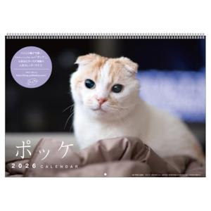 2026年カレンダー ポッケの買取情報