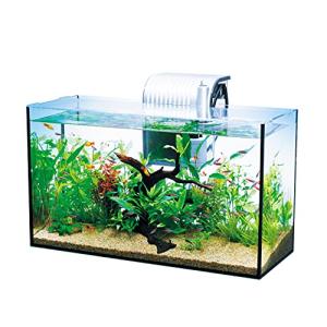 テトラ (Tetra) ガラス 水槽 オールグラスアクアリウム GA-420F 熱帯魚 