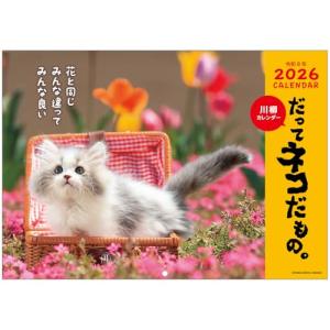 壁掛けカレンダー2026年 にゃん神様。 立ち猫カレンダー2026 2026