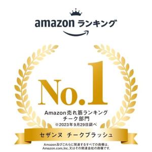 セザンヌ チークブラッシュ02 シナモンブラウ...の詳細画像2