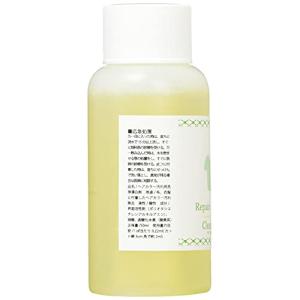 店舗清掃 ヘアカラー剤染み抜き リペアカラーク...の詳細画像1