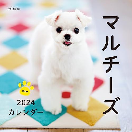 2024年カレンダー マルチーズ (誠文堂新光社カレンダー)