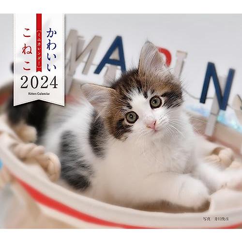 2024年カレンダー かわいいこねこ (誠文堂新光社カレンダー)