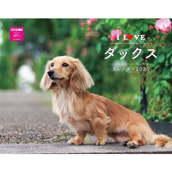 I LOVE ダックスカレンダー 2025（月めくり/壁掛け） (ネコ・パブリッシング) (カレンダ...