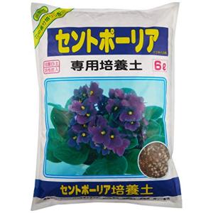 アミノール化学研究所 セントポーリア専用培養土 6L 珪酸白土入 活性炭