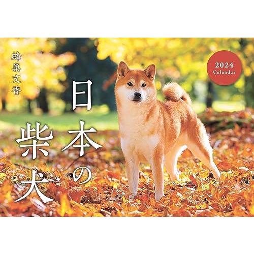 日本の柴犬カレンダー2024（壁掛け）