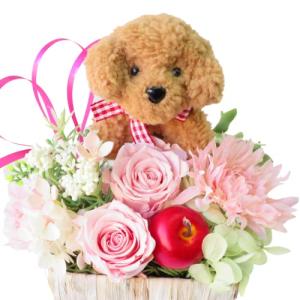 プリザーブドフラワー犬 トイプードル pretty 動物トピアリー 結婚祝い