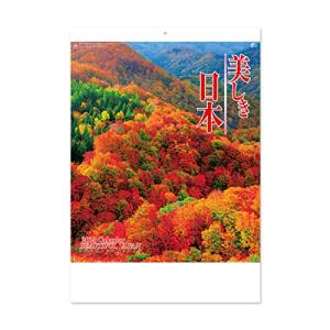 新日本カレンダー 2023年 カレンダー 壁掛け 美しき日本 NK110