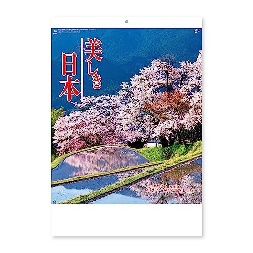 錦帯橋桜 2024