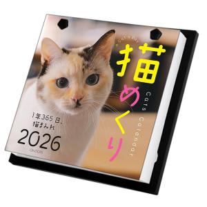 猫めくり 2026年 カレンダー 日めくり CK-C26-01