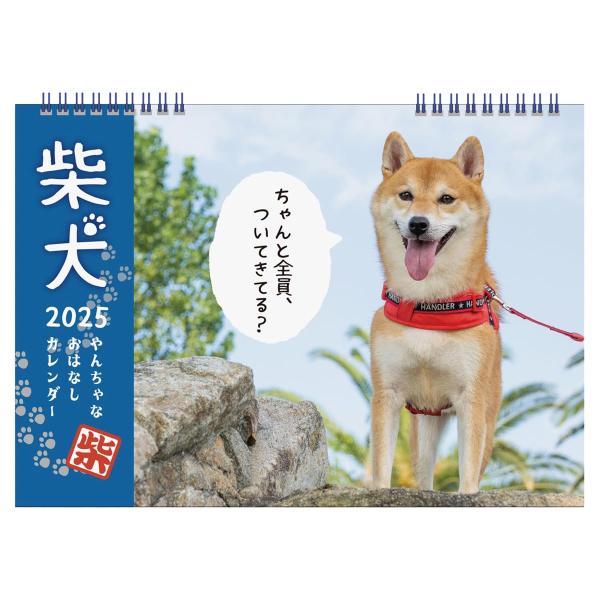 2025年 柴犬やんちゃなおはなしカレンダー(Ｂ５) No.035