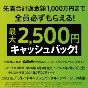 ジレット プログライド マニュアル カミソリ ...の詳細画像1