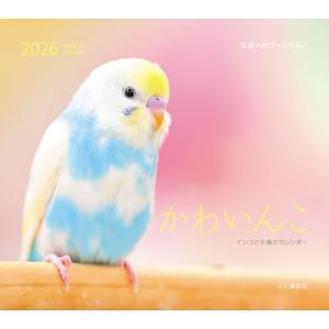 カレンダー2026 かわいんこ インコと小鳥のカレンダー（月めくり/壁掛け/鳥） (ヤマケイカレンダー2026)｜雑貨屋MelloMellow
