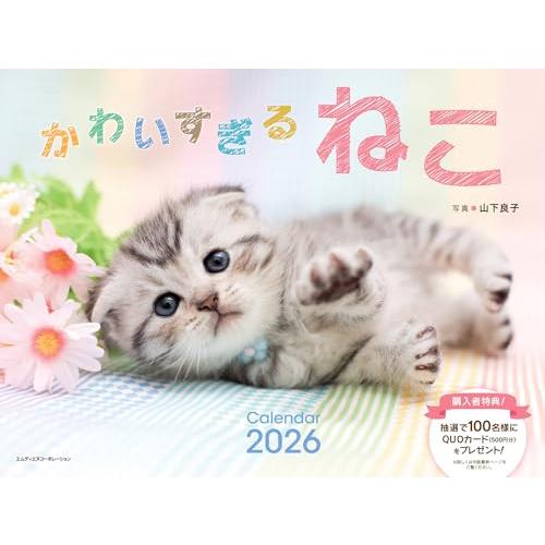 2026 かわいすぎるねこカレンダー〈ふわふわ、キュートな子猫が毎日を彩る〉（壁掛け / 月めくり ...