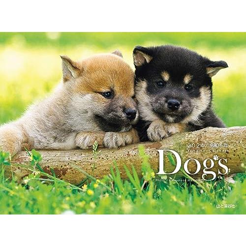 カレンダー2024 Dogs（月めくり/壁掛け） (ヤマケイカレンダー2024)