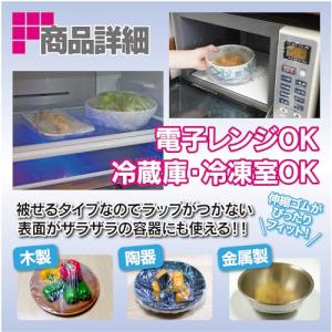 ファイン 被せるキャップ式ラップ 50枚入 直...の詳細画像3