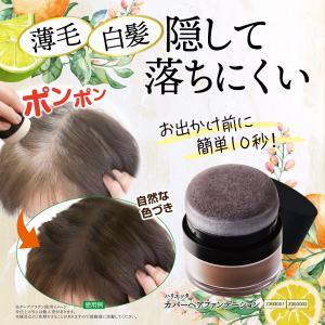 増毛ふりかけ ヘアーファンデーション詰替え 分け目白髪隠し