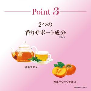 デオハピ 薬用デオドラントミスト 100ml ...の詳細画像4