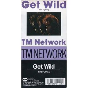 シティハンター　GET WILD /TM NETWORK  中古アニメCDシングル