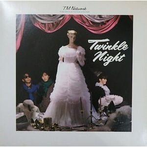 TM NETWORK  Twinkle Night  中古邦楽LPレコード