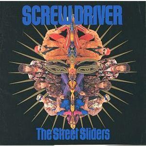 THE STREET SLIDERS The Street Sliders Rock'n'Roll Chronicle(ザ