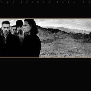 U2 The Joshua Tree 180g重量盤2枚組 中古洋楽LPレコード 