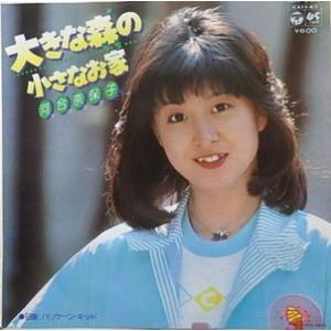 南佳孝 スローなブギにしてくれ（I want you）中古邦楽EPレコード