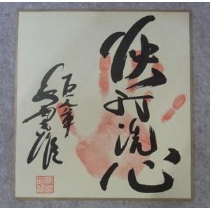 ミスターG 栄光の背番号3 -長嶋茂雄・その球...の詳細画像3