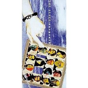 THE ALFEE / 希望の鐘が鳴る朝に 中古シングルCD
