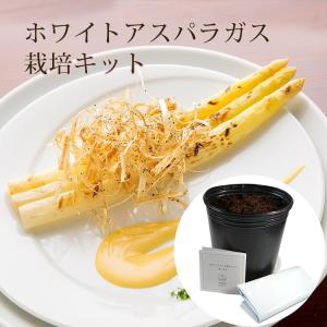 めざましテレビ 食べられる栽培キット スプラウト ホワイトアスパラ サトウキビ 冬子のおひまつぶし