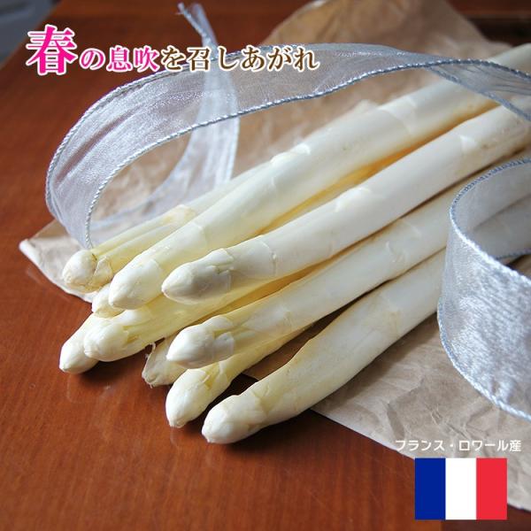 ホワイトアスパラ フランス産 ホワイトアスパラガス ロワール産 1000g IGP取得 アスペルジュ...