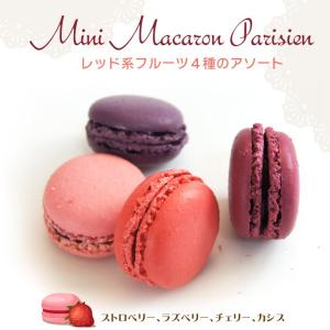 まかろん シャトーブラン 12マカロン 144g（12個）冷凍 フランス直輸入 洋菓子